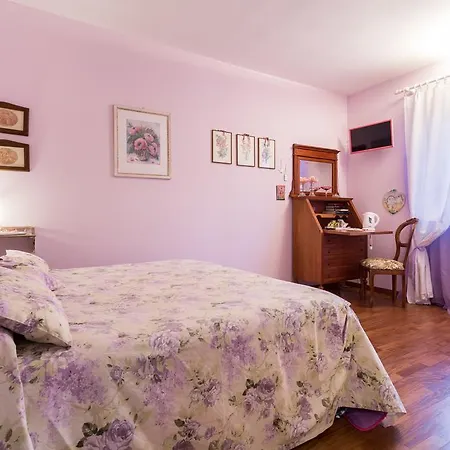 Le Fate Di Campagna * 阿西西